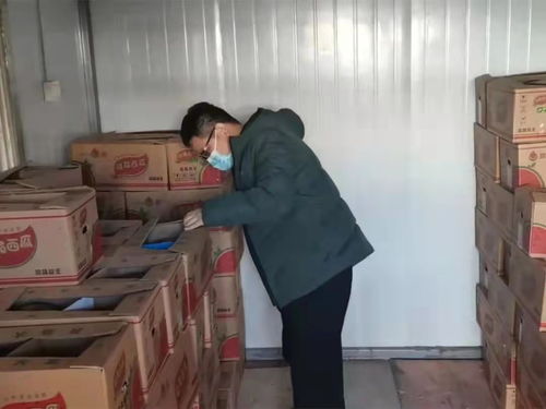 衡水推進食用農產品批發市場規范化建設，守護市民“菜籃子”安全