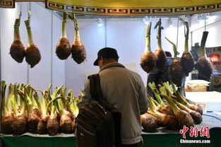 商務部最新數據 上周食用農產品與生產資料價格雙雙回落